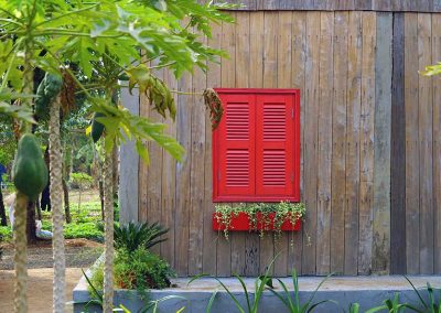 red window with plant box beneath on wooden building in the forest